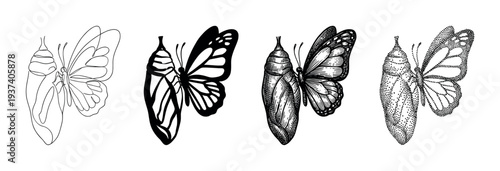 Set of four black butterfly illustrations emerging from a chrysalis shows metamorphosis in various artistic styles like line art, silhouette, engraving, and stippling