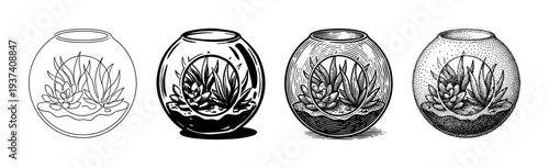 Set of four terrarium illustrations showing different artistic styles from simple line art and ink to detailed engraving and stippling techniques for a minimalist design concept