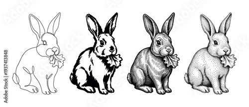 Collection of four hand-drawn rabbit illustrations eating a leaf, demonstrating various graphic styles from minimalist line art and bold ink to classic engraving and stippling