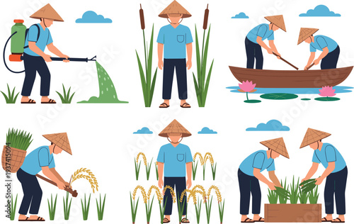 Traditional rice farming scenes with farmers spraying, harvesting, paddling boats, and tending plants in fields, cultural agriculture illustration for rural lifestyle, food production, a