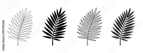 Four black and white palm leaf illustrations showing different graphic styles, including a simple outline, a solid silhouette, detailed line art, and a textured stipple effect