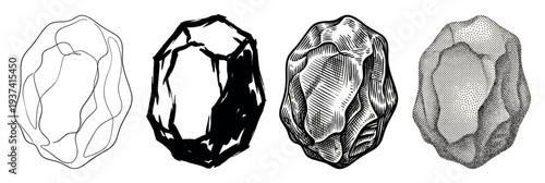 Set of four raisin illustrations showing different artistic styles from simple line art and bold ink to detailed engraving and stippling dotwork for a creative concept