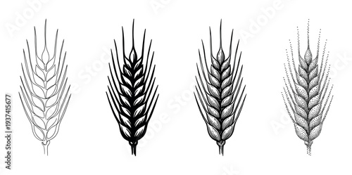 Four black and white wheat ear illustrations in a set showcasing different graphic styles like line art, silhouette, engraving, and stippling for design elements