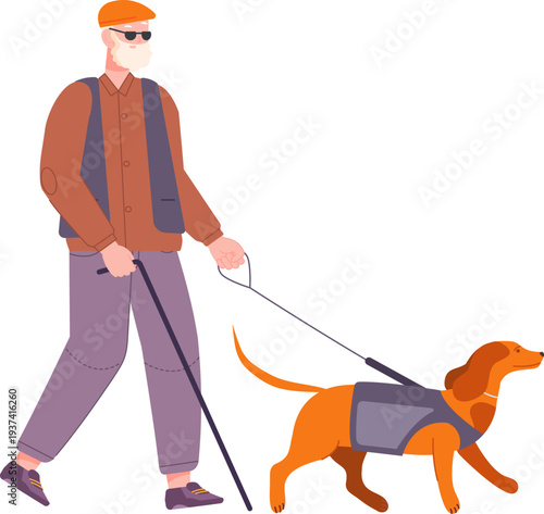 Blind old man walking with guide dog. Support animal