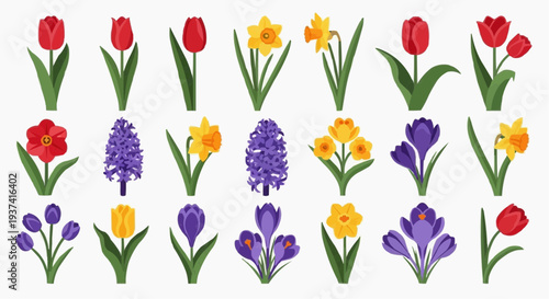 Collection of colorful spring flowers in full bloom, showcasing various species of tulips, daffodils, and crocuses. A vibrant display of nature's beauty
