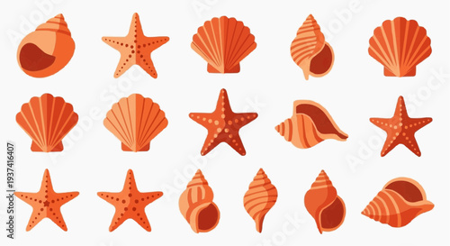 An illustration of various seashells and starfish on a light background. These diverse marine elements evoke a sense of the beach and ocean