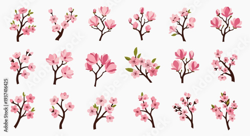 A Collection of Pink Blossom Branches, Ideal for Artistic and Creative Projects 