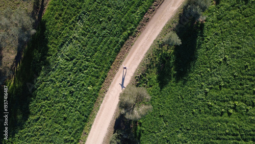 Countryside Path Through Natural Landscape