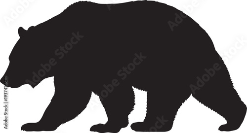 bear silhouette vector