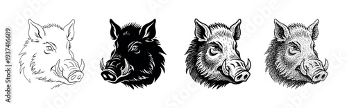 Four illustrated wild boar heads in various black and white artistic styles, showcasing detailed line art, a bold silhouette, a classic engraving, and a distinctive stipple effect