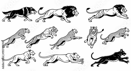 A collection of black and white illustrations featuring various big cats like lions, tigers, leopards, and a wolf, depicted in dynamic running and leaping poses.