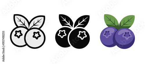 Blueberry Icons in Black, White, and Purple Colors with Leaves