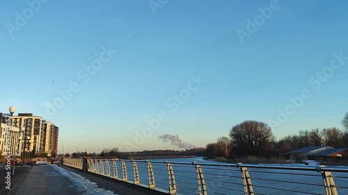 flock of migratory birds, mobile video. Spring