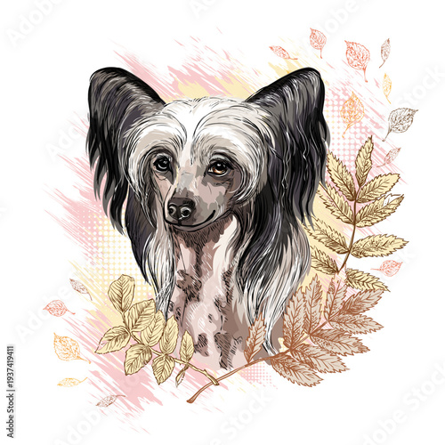 Chinese Crested Dog dog in flowers hand drawn vector