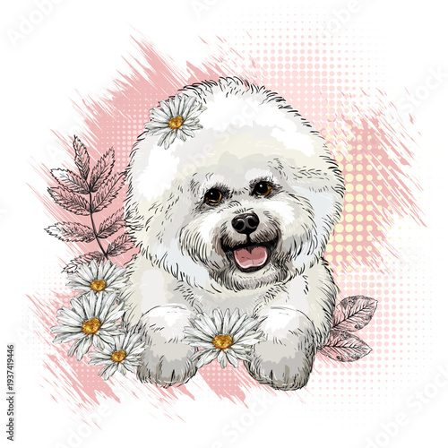 Maltese lapdog with flowers hand drawn vector illustration