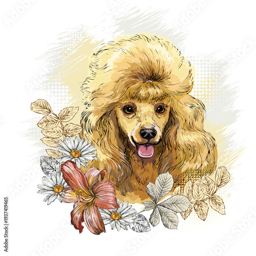 Poodle dog in flowers hand drawn vector illustration