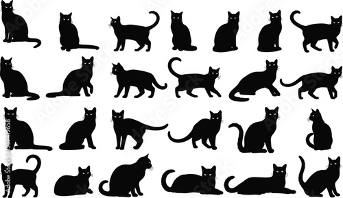 Set of black cat silhouettes in different poses isolated on white background, collection of domestic feline shapes for design