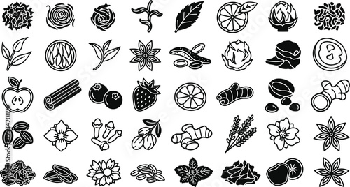 Tea ingredients set for herbal infusion vector illustration