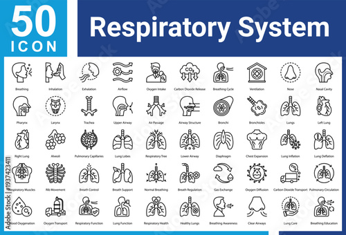 Respiratory System icon set and collection