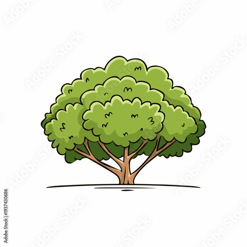 Hand drawn shrub bush shrubbery tree.