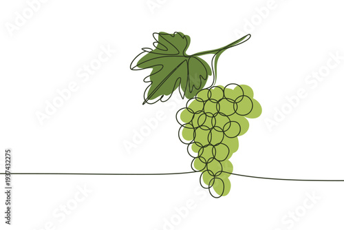 A single line drawing illustrates a bunch of green grapes with a leaf on a white background, representing natural food.