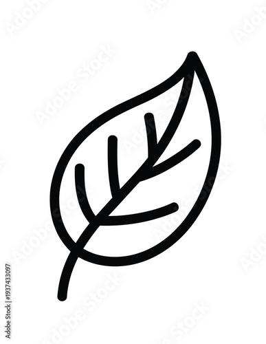 A simple, stylized illustration of a single green leaf with prominent veins against a white background, symbolizing nature and growth.
