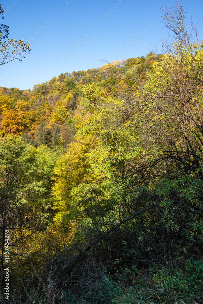 Obraz premium Autumn Landscape around Pancharevo lake, Bulgaria