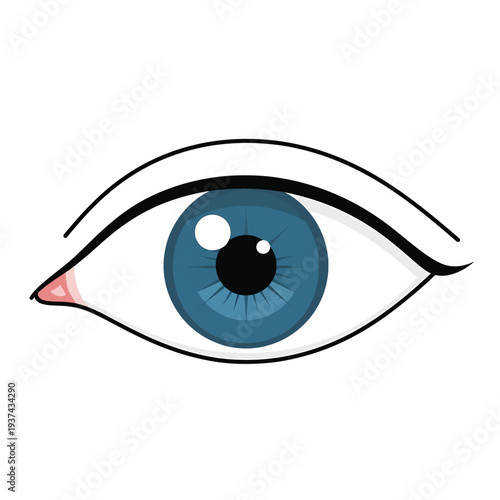 Blue Eye Illustration with Detailed Iris.