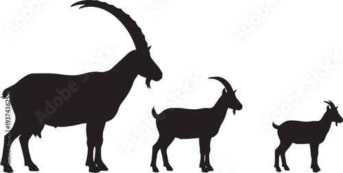 Alpine ibex and goats silhouettes, mountain wildlife illustration for nature brands
