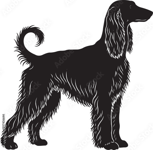 Elegant Black Silhouette of an Afghan Hound, Long Haired Breed Portrait