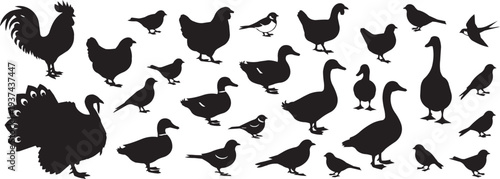 Assortment of farm and wild bird silhouettes: rooster, hens, ducks, geese, and more.