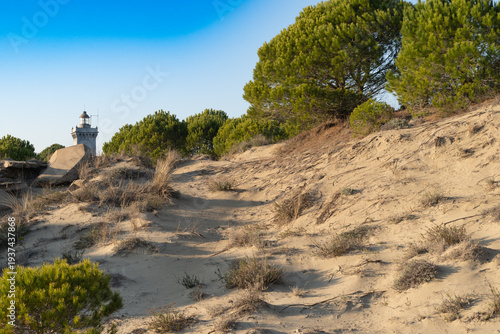 Le phare de l'Espiguette, Le Grau-du-Roi, Gard, France 