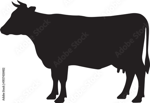 Dairy Cow Silhouette Vector Isolated on White for Milk and Meat Branding