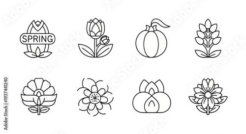 Outline icons of spring flowers, pumpkin, and seasonal plants, black line art for seasonal and nature design projects