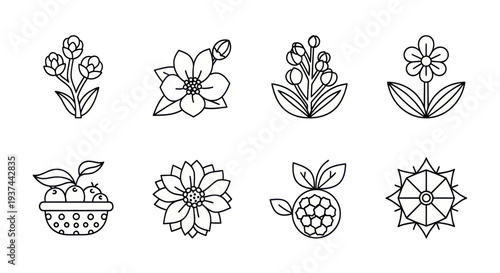 Set of 8 black and white floral and fruit line icons with leaves and petals, perfect for gardening, nature, and organic product designs