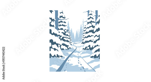Snowy forest with evergreen trees.