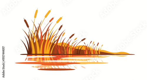Reeds in water with cattails growing.
