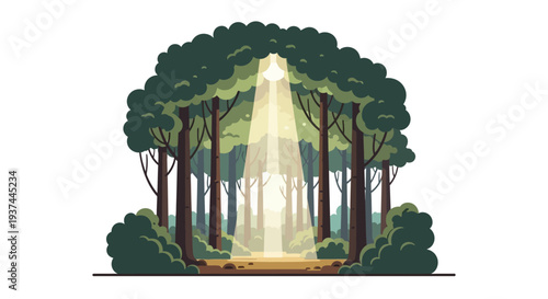 Trees Forest Green Foliage Nature Scene.