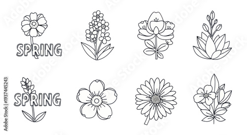Black and white spring floral outline drawings with blooming flowers and nature elements, line art illustrations for coloring or design projects
