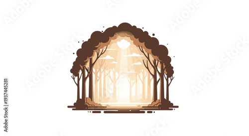 Trees with sunlight shining through them.