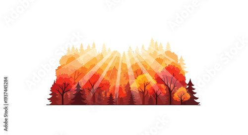 Trees with changing autumn colorful leaves.