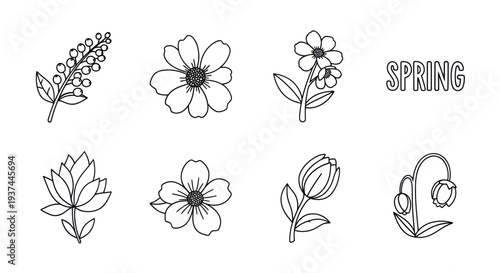 Hand drawn spring floral icons collection with flower buds and blossoms line art for seasonal designs and nature-themed projects