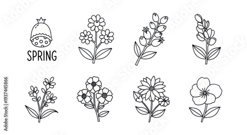 Spring floral doodles collection with various flowers and leaves line art, perfect for nature-themed designs and coloring books