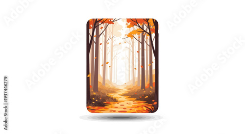 Sunlight filters through forest trees.