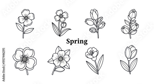 Hand-drawn spring flowers line art set with floral elements and leaves, perfect for seasonal design, coloring books, and botanical projects
