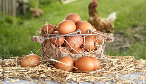 Fresh chicken eggs and basket on dried hay at poultry yard