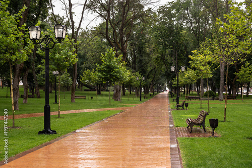 Fotografia Empty Park Alley With Benches After Rain