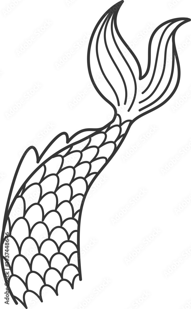 Obraz premium Mermaid tail doodle drawing. Fairytale underwater girl