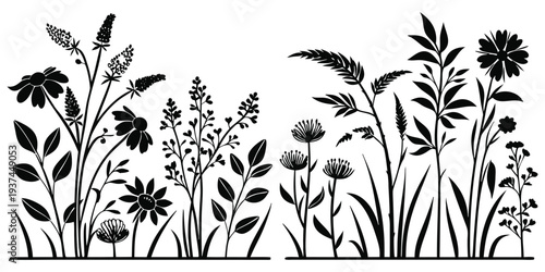 Black silhouette of various wildflowers and grasses on white background