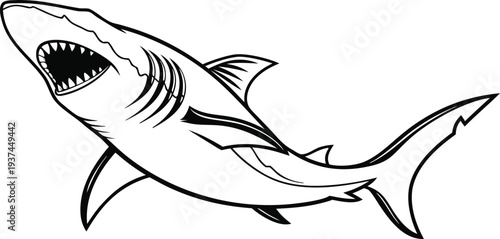A black and white illustration of a shark with its mouth open